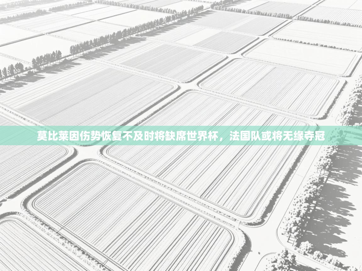 开云体育app下载-莫比莱因伤势恢复不及时将缺席世界杯，法国队或将无缘夺冠  第1张