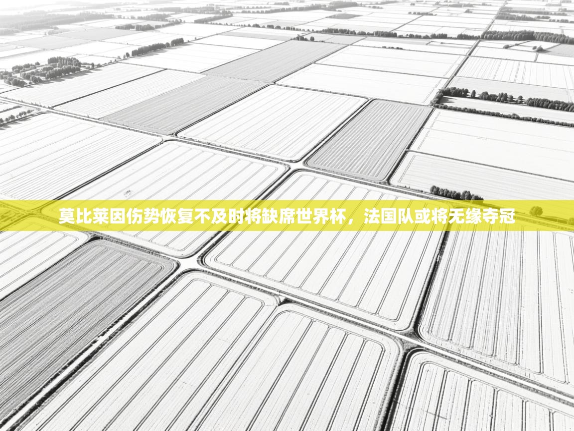 开云体育app下载-莫比莱因伤势恢复不及时将缺席世界杯，法国队或将无缘夺冠  第2张