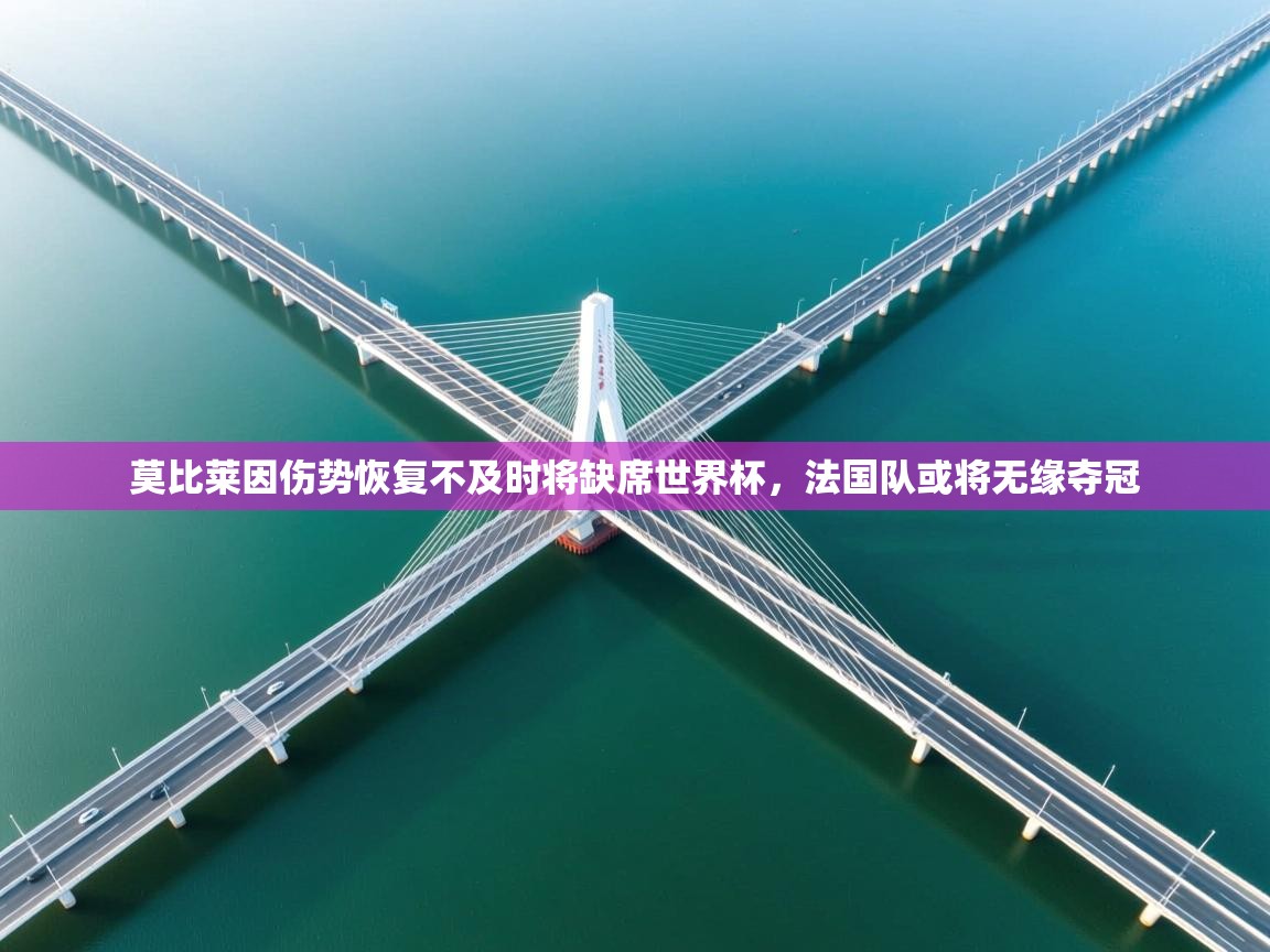 开云体育app下载-莫比莱因伤势恢复不及时将缺席世界杯，法国队或将无缘夺冠  第4张