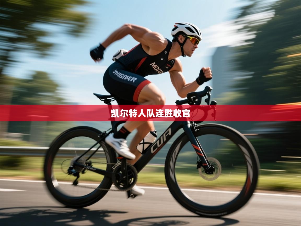 开云·体育app中国官方网站-凯尔特人队连胜收官  第2张