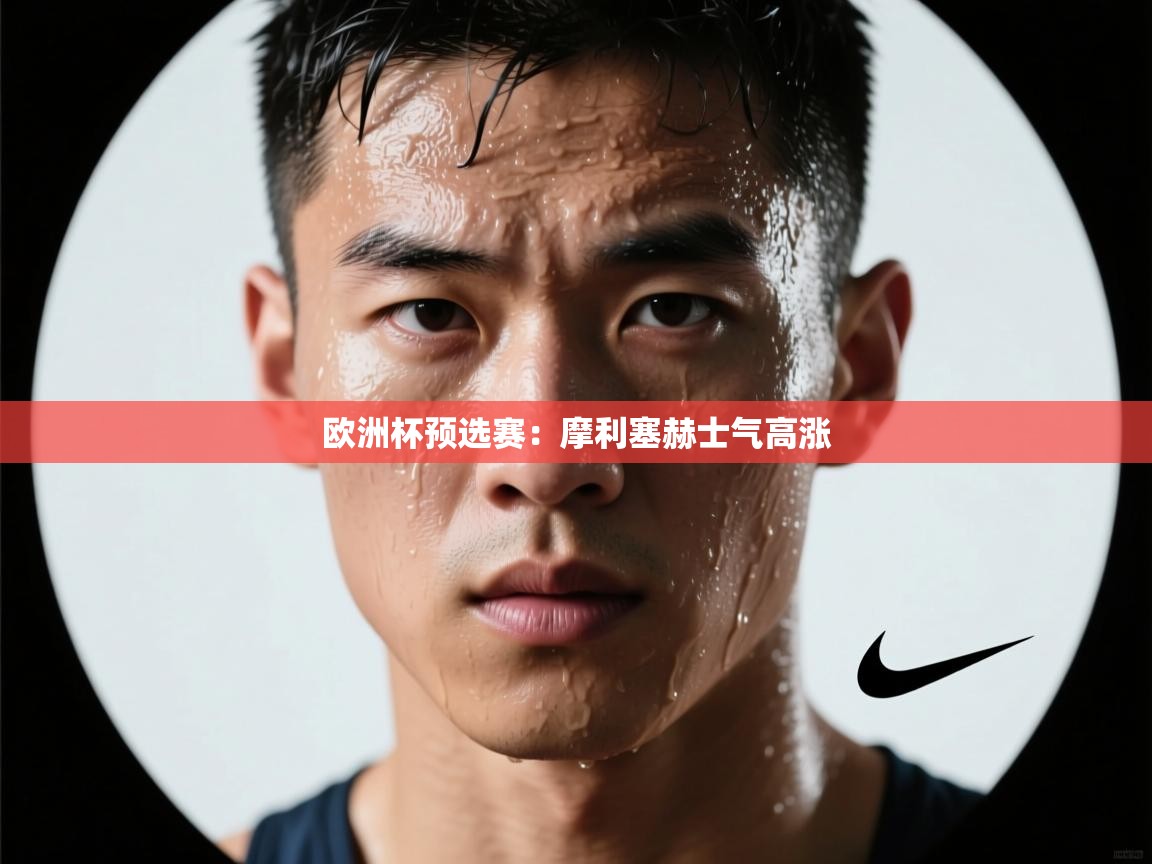 -欧洲杯预选赛：摩利塞赫士气高涨  第2张
