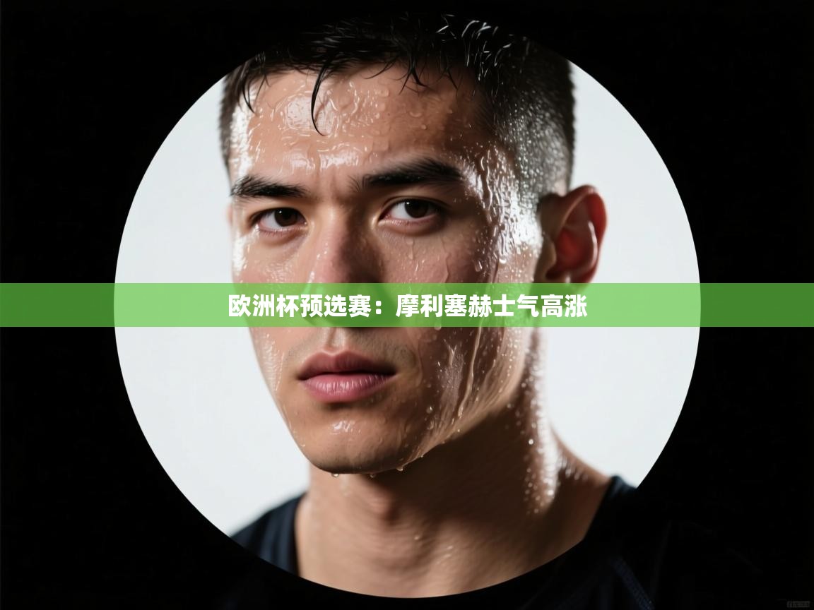 -欧洲杯预选赛：摩利塞赫士气高涨  第1张