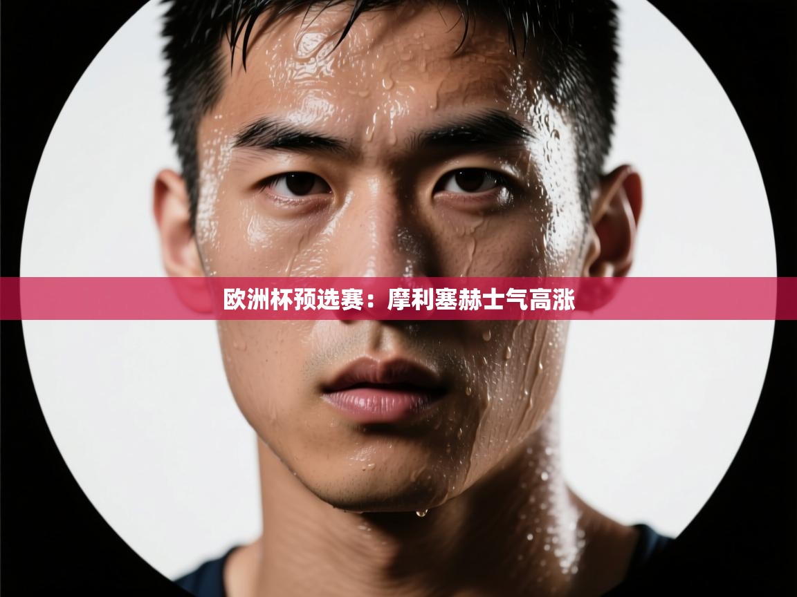 -欧洲杯预选赛：摩利塞赫士气高涨  第3张