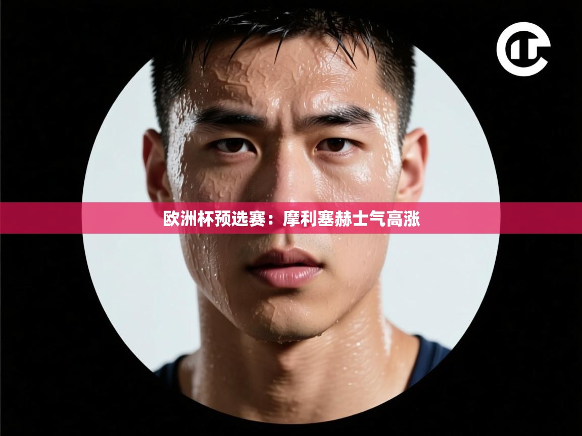 -欧洲杯预选赛：摩利塞赫士气高涨  第4张