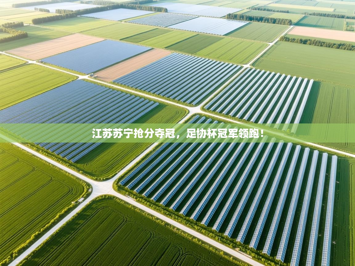 开云体育苹果版下载-江苏苏宁抢分夺冠，足协杯冠军领跑！  第4张