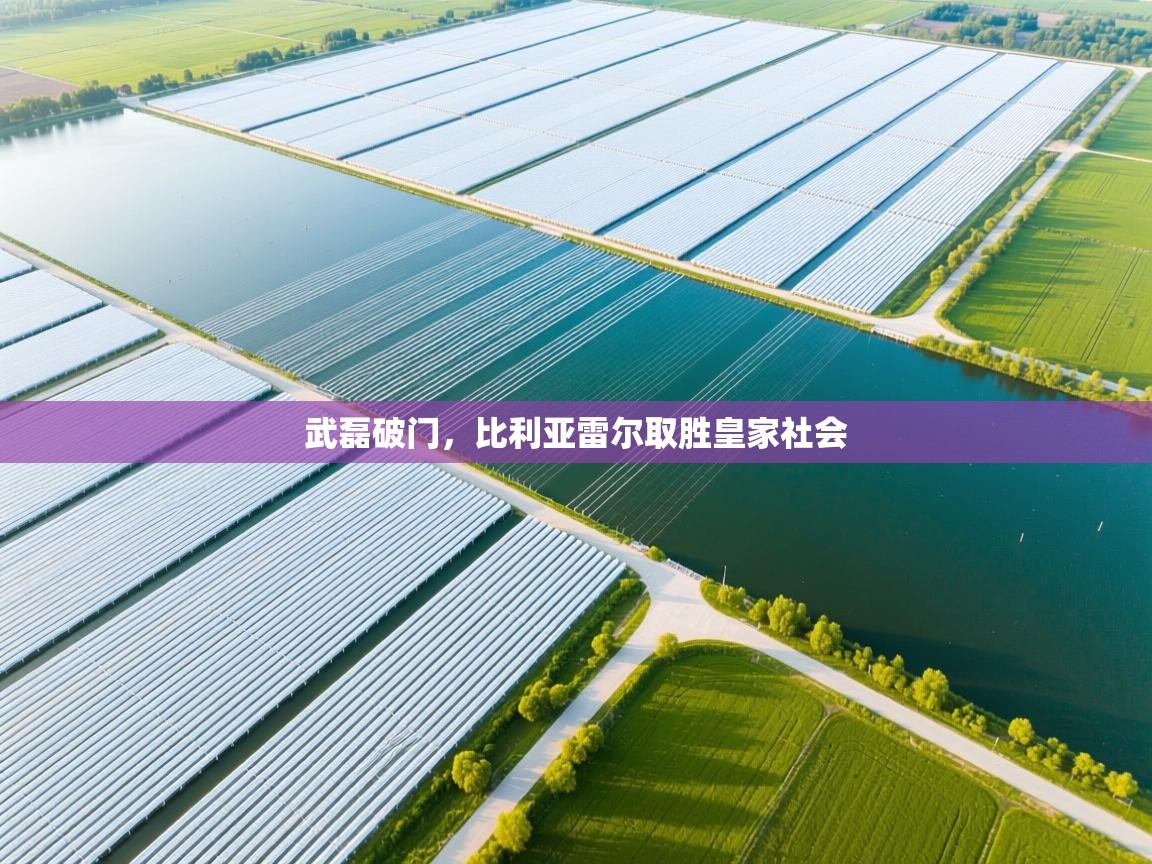 开云体育入口客服-武磊破门，比利亚雷尔取胜皇家社会  第2张