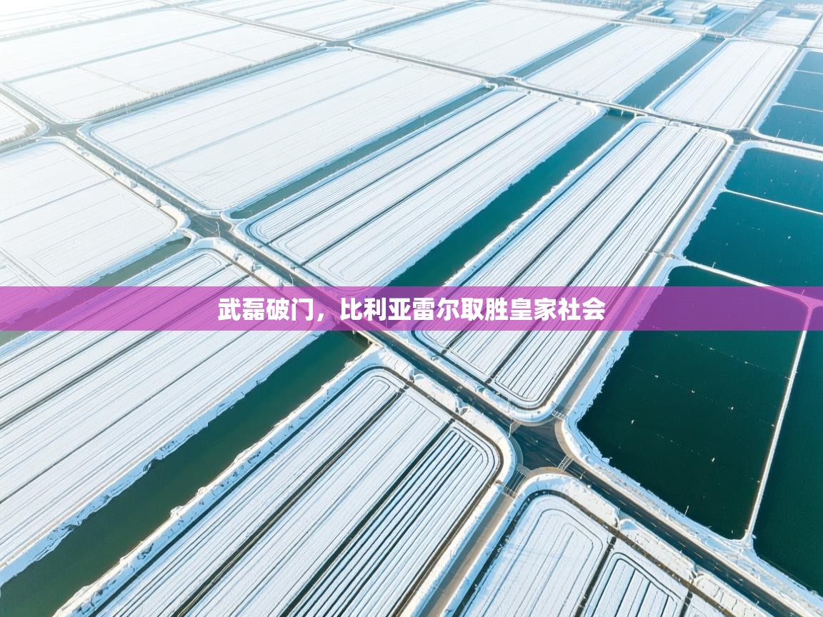 开云体育入口客服-武磊破门，比利亚雷尔取胜皇家社会  第4张