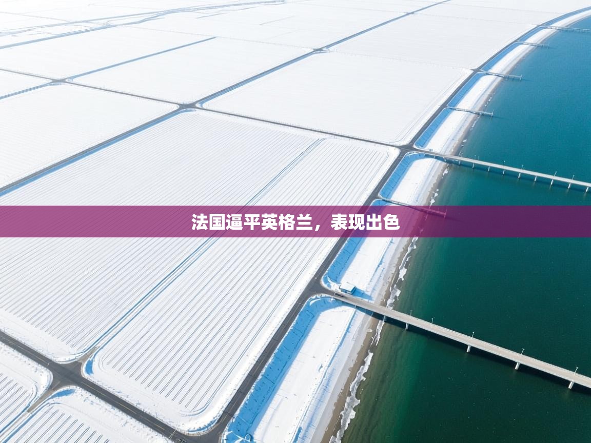 开云体育版本更新日志2025-法国逼平英格兰，表现出色  第1张