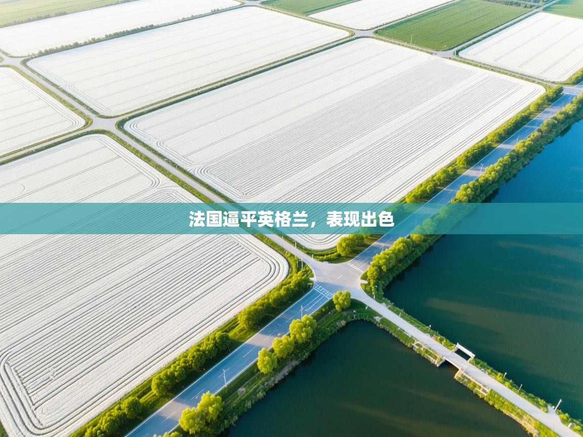 开云体育版本更新日志2025-法国逼平英格兰，表现出色  第3张