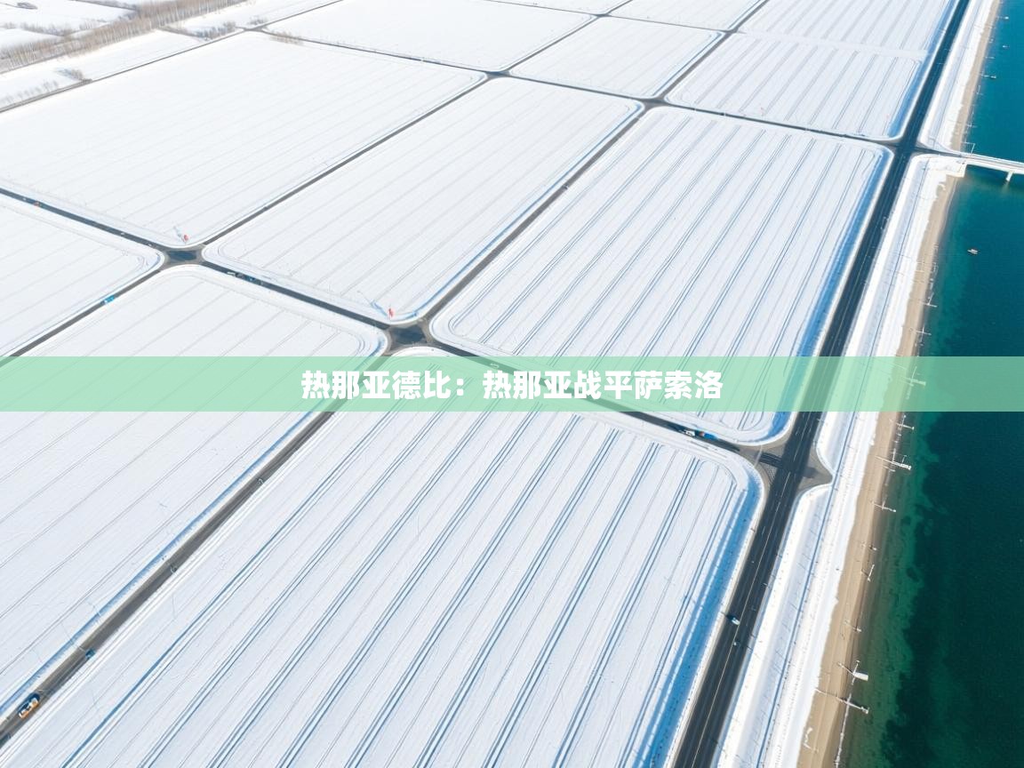 开云体育入口网址-热那亚德比：热那亚战平萨索洛  第3张