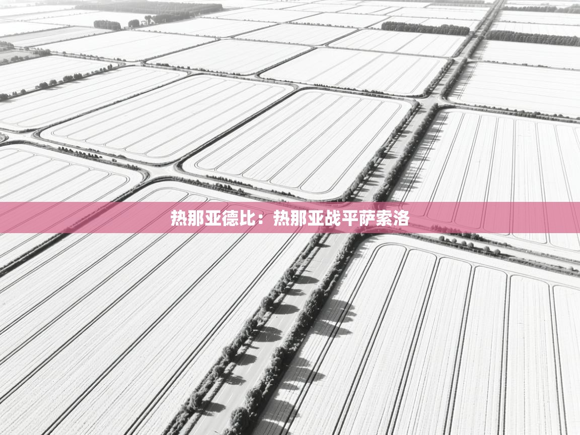 开云体育入口网址-热那亚德比：热那亚战平萨索洛  第2张