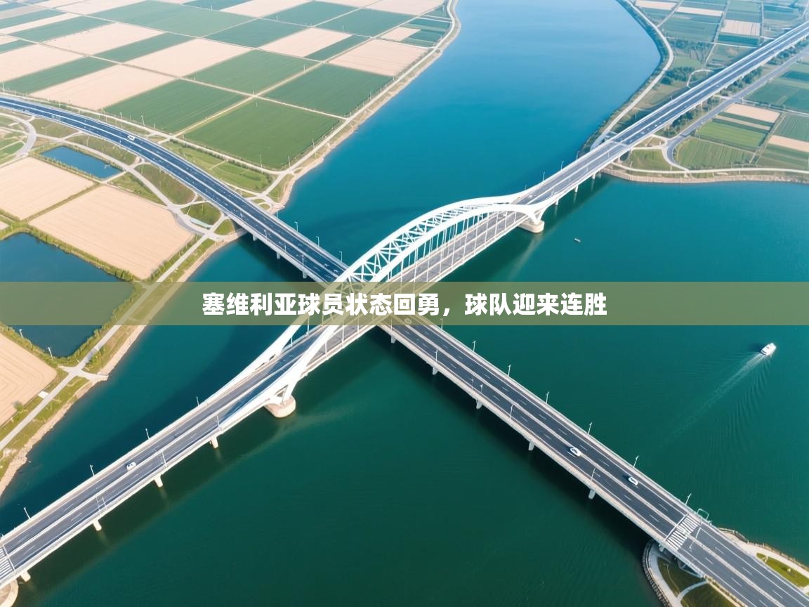 开云体育旧版下载地址-塞维利亚球员状态回勇，球队迎来连胜  第3张