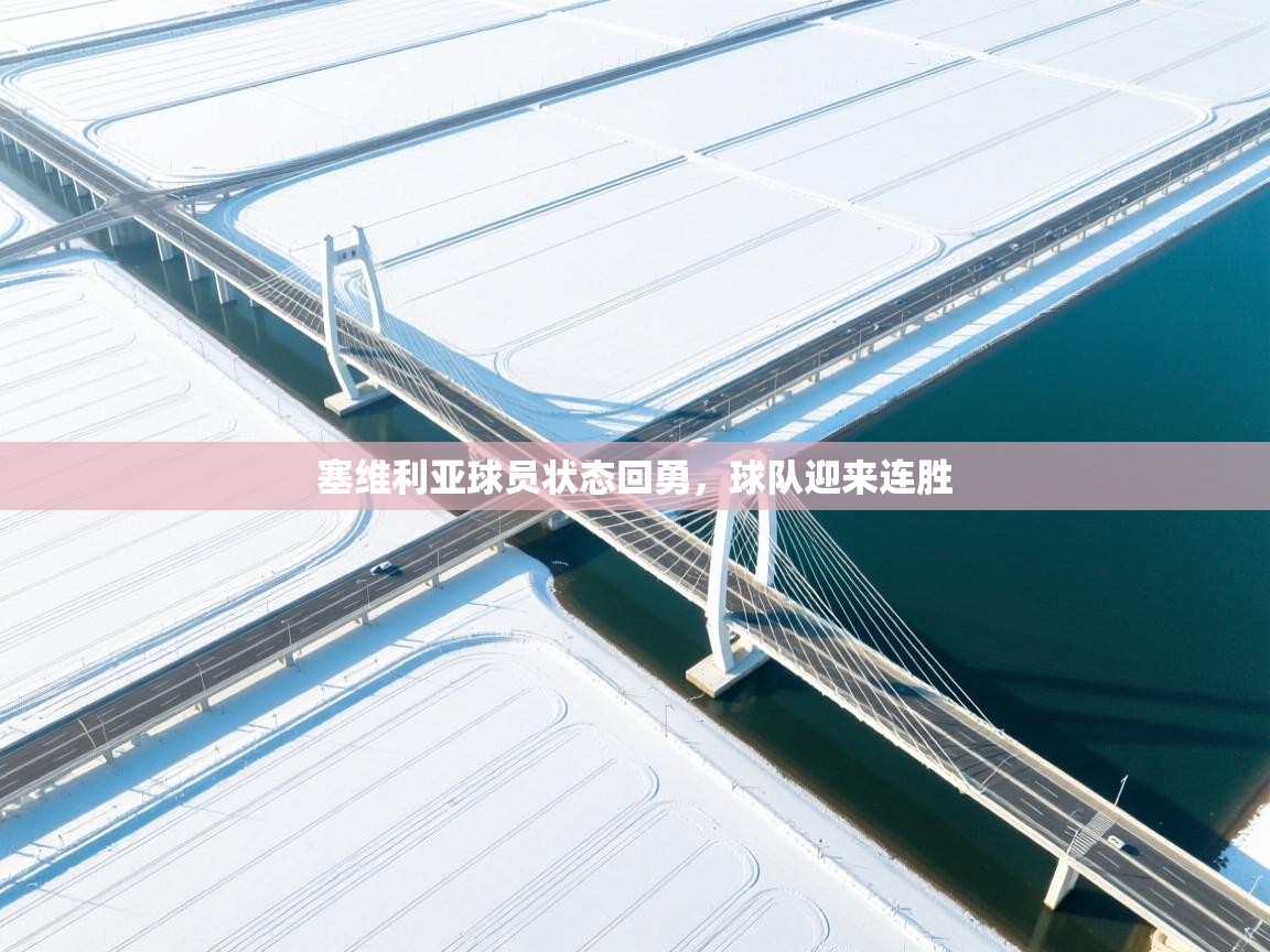 开云体育旧版下载地址-塞维利亚球员状态回勇，球队迎来连胜  第4张